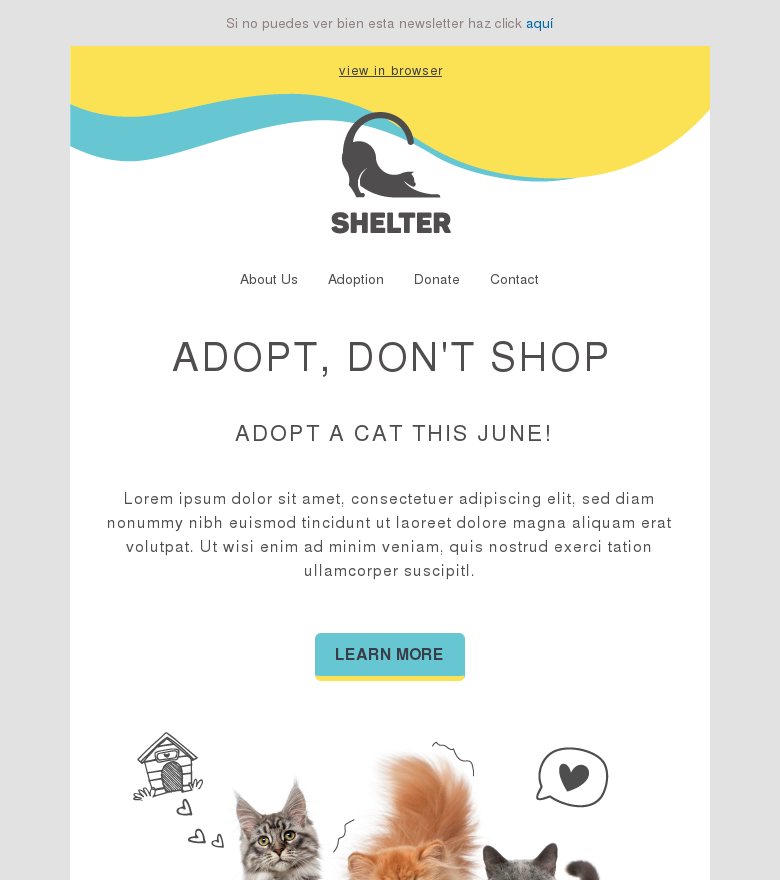Plantilla email marketing Adopt a cat this june
