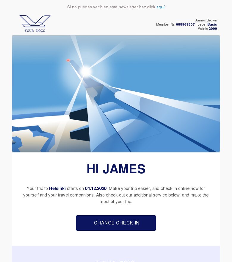 Email marketing template Detalles del vuelo