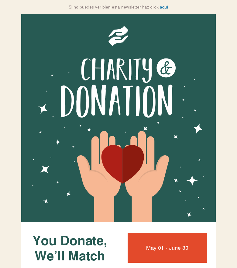 Email marketing template Charity donation