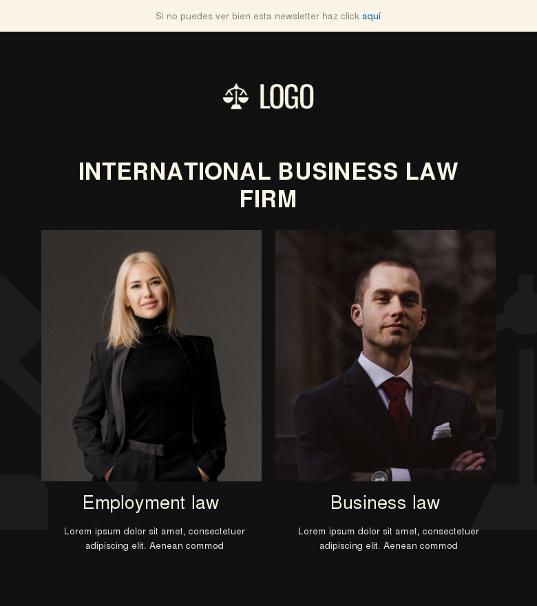 Plantilla email marketing International law firm