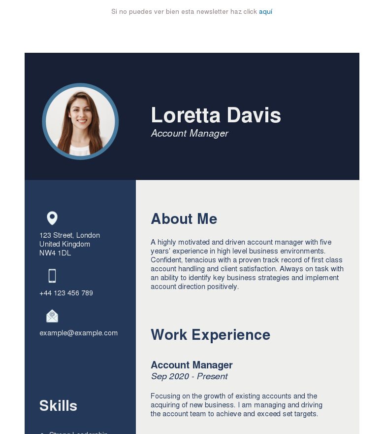 Template email marketing Currículum limpio