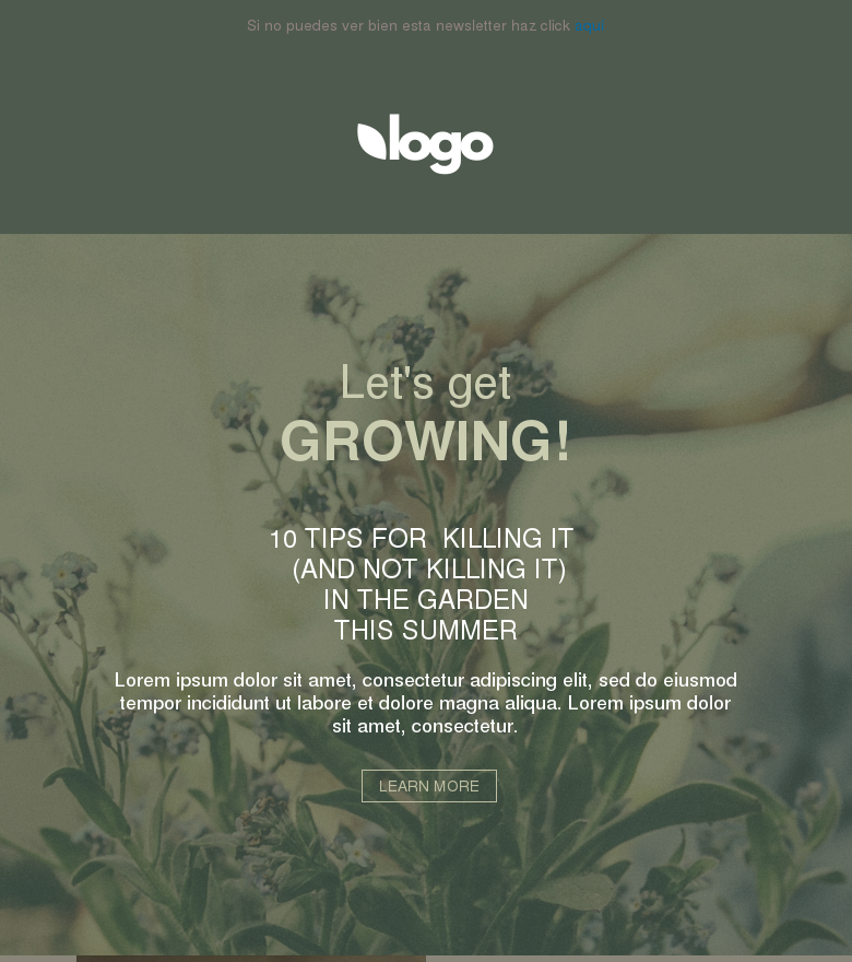 Plantilla email marketing Lets get growing