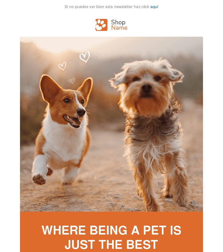 Template email marketing Tienda de mascotas