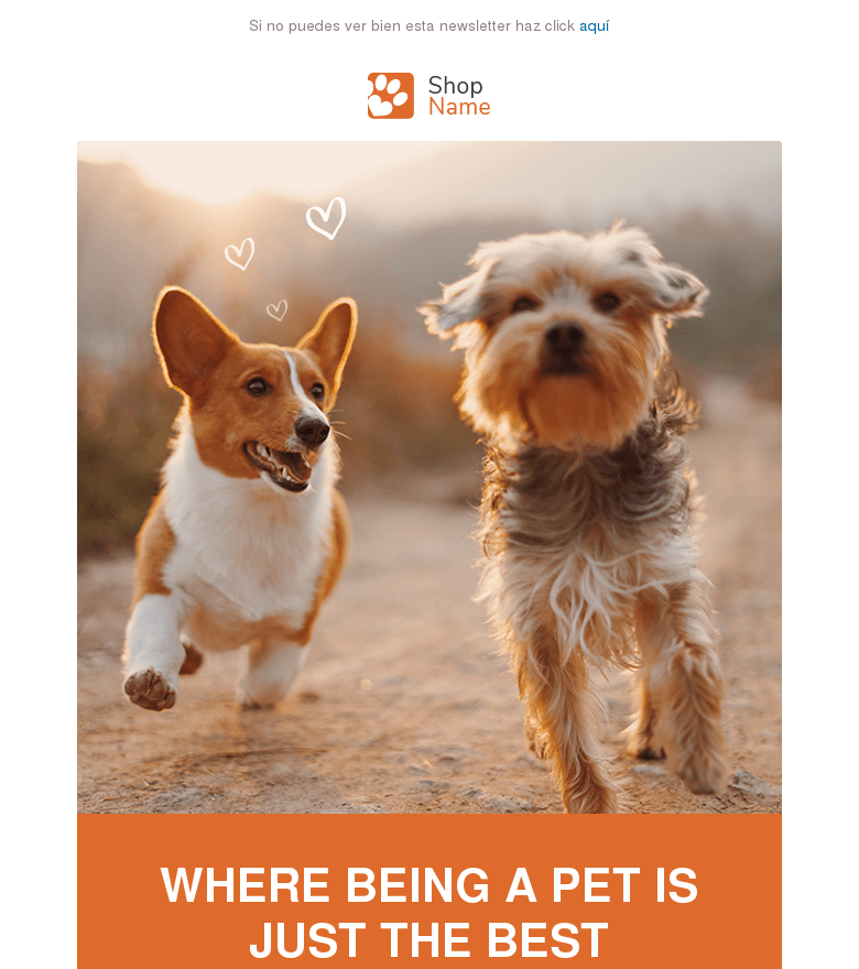 Plantilla email marketing Pet shop