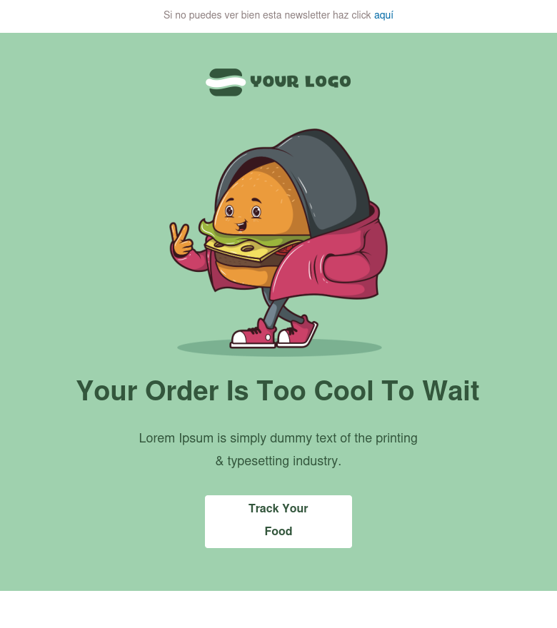 E-Mail-Marketing-Vorlage Your order is too cool to wait