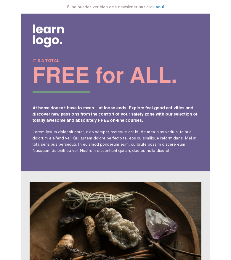 Plantilla email marketing Free for all