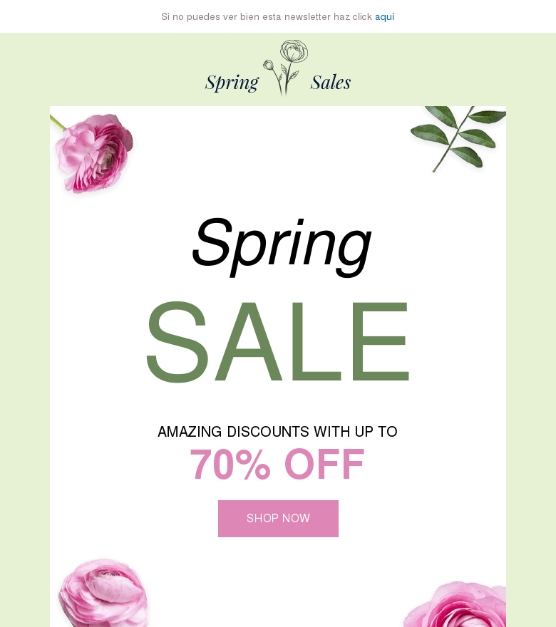Plantilla email marketing Spring sale