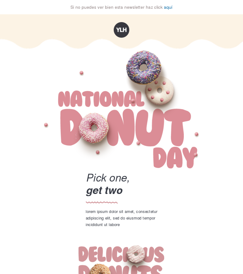 Plantilla email marketing National donut day