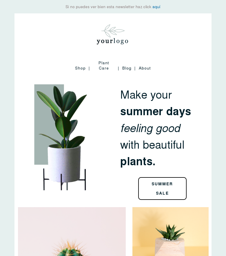 Plantilla email marketing First day of summer