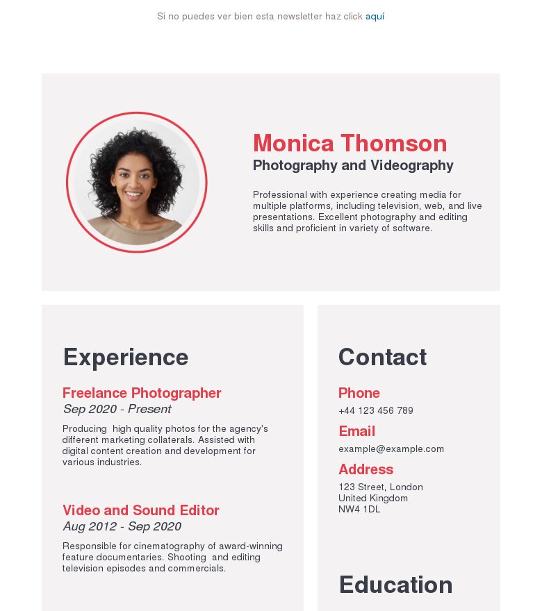 Template email marketing Currículum ligero