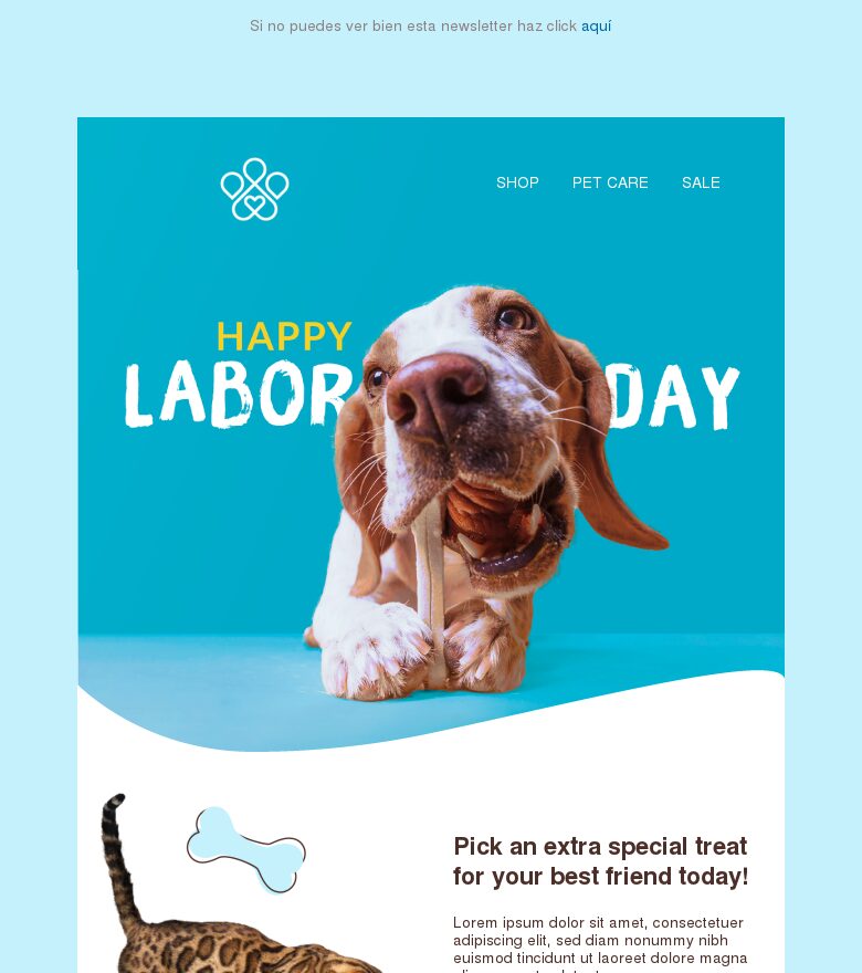 Template email marketing Oferta del Día del Trabajo en la tienda de mascotas