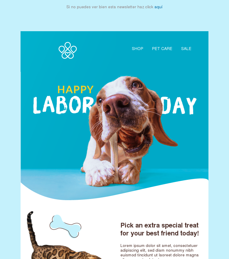 Plantilla email marketing Pet shop labor day offer