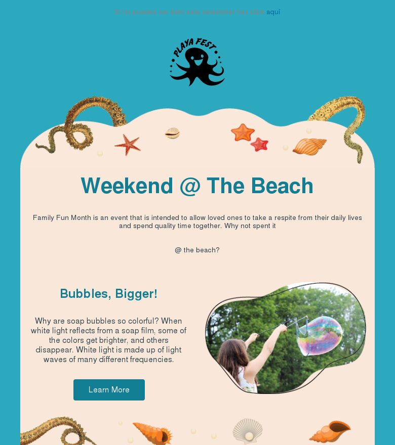 Template email marketing Evento del festival de playa