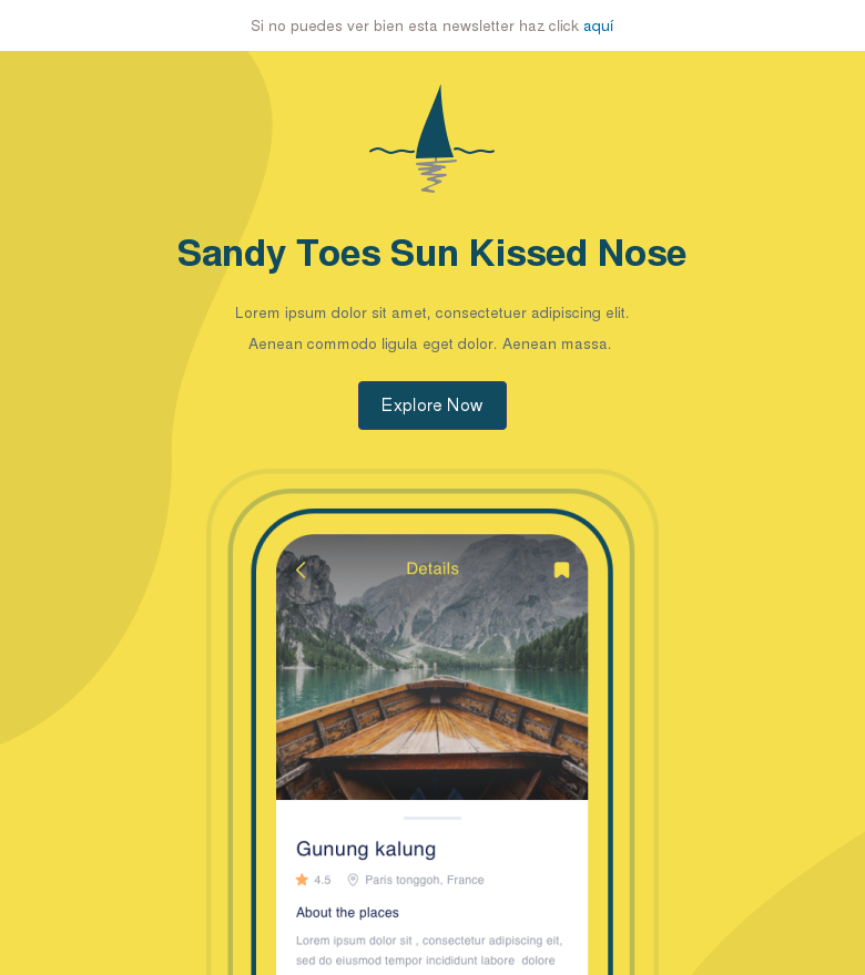 Plantilla email marketing Sandy toes sun kissed nose