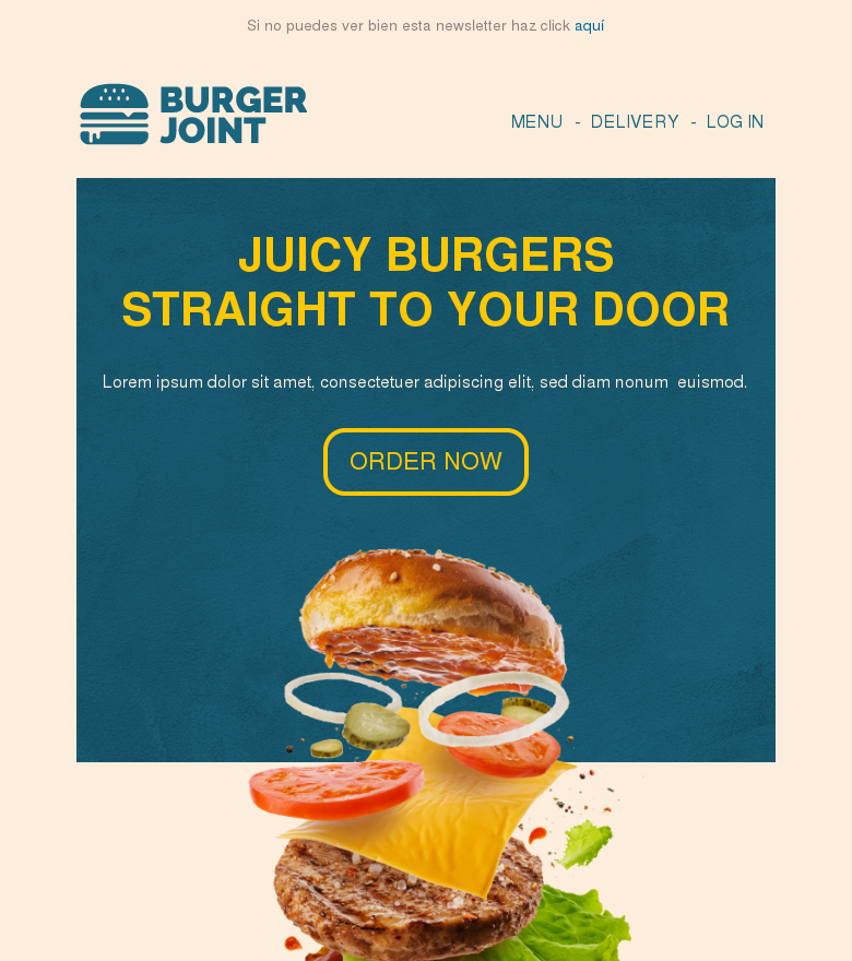 Plantilla email marketing Burgers delivered to your door