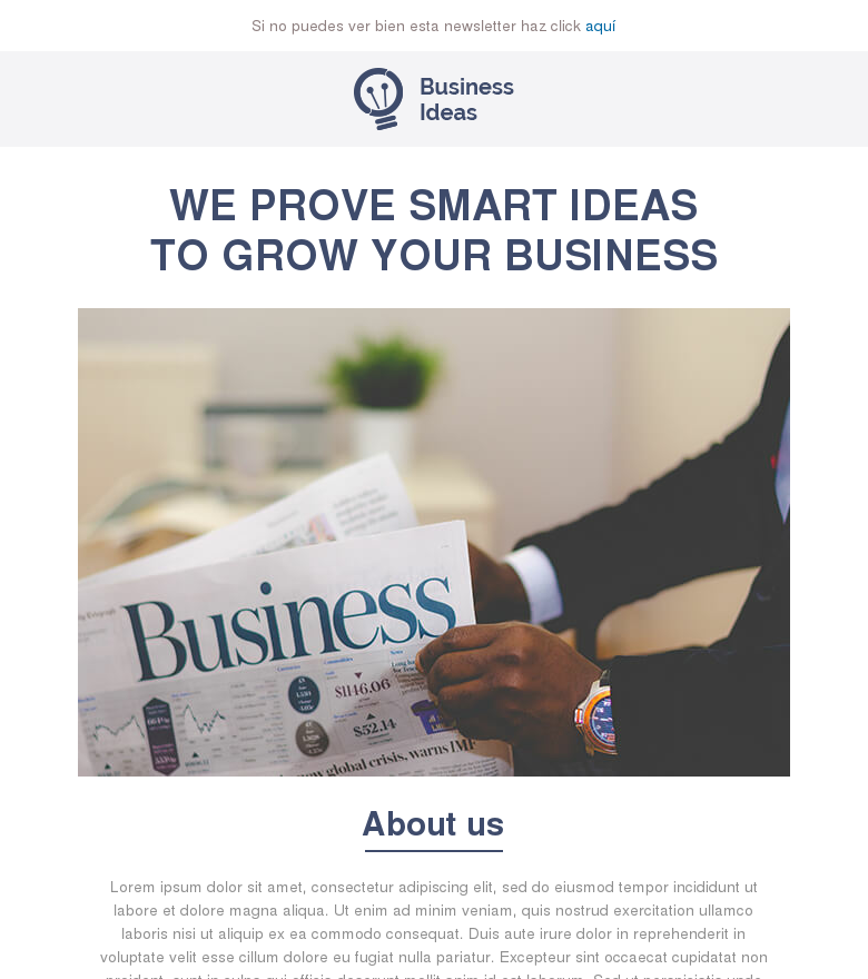 Plantilla email marketing Business newsletter