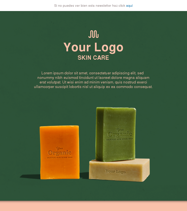 Plantilla email marketing New tailor made soap line