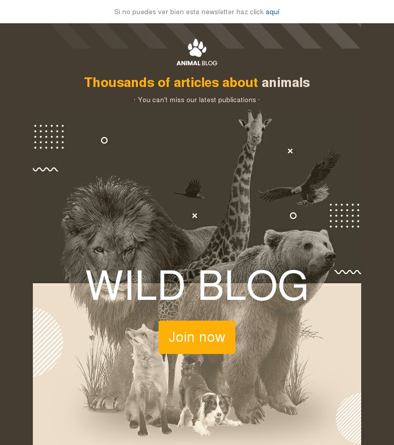Template email marketing Blog salvaje