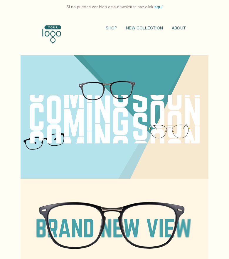 Template email marketing Una nueva perspectiva