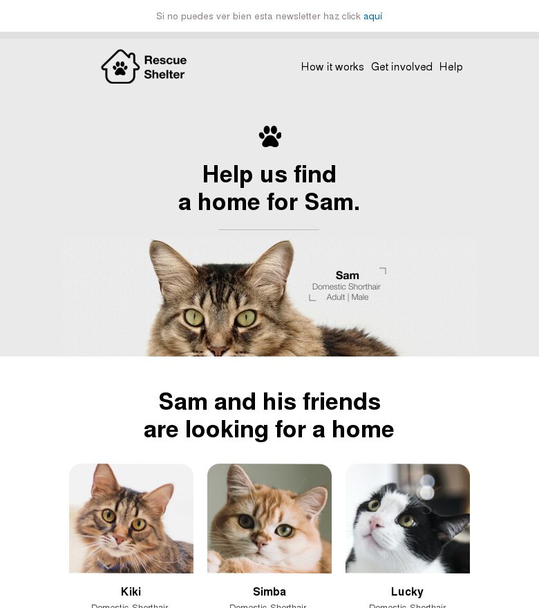 Template email marketing Un hogar para Sam