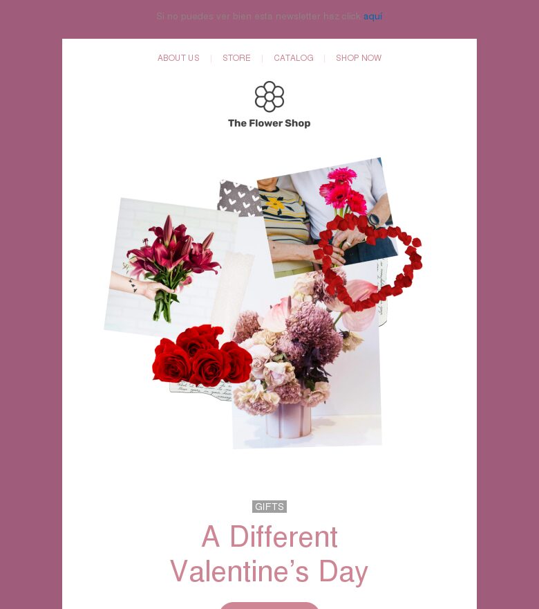 Template email marketing Un San Valentín diferente