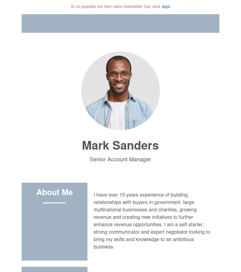 E-Mail-Marketing-Vorlage Cv template 2