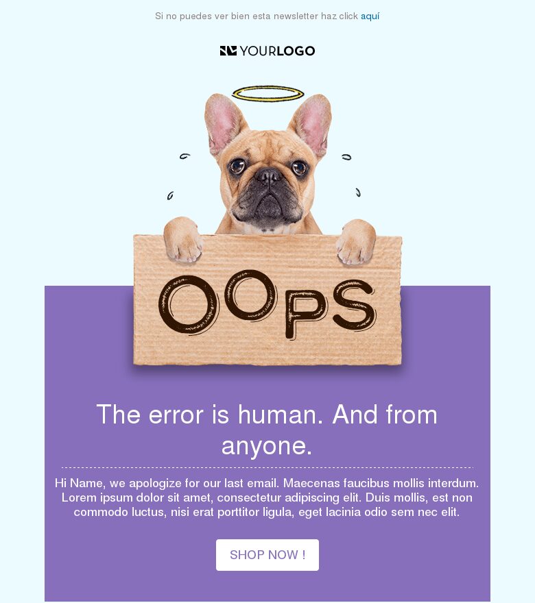 Template email marketing Email de disculpa