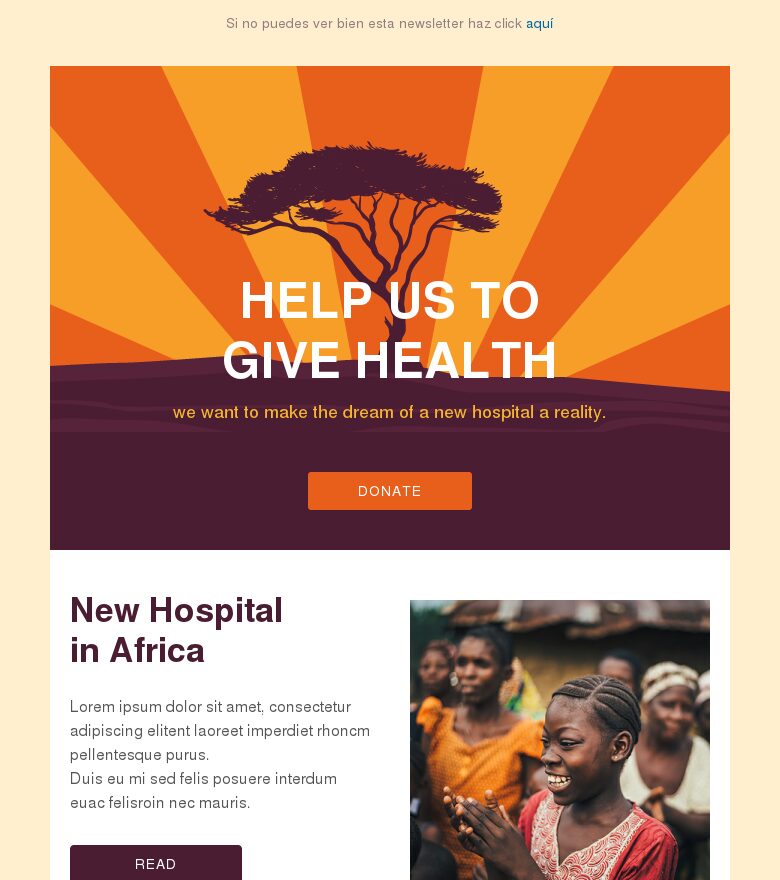 Email marketing template Recaudación sin ánimo de lucro en África