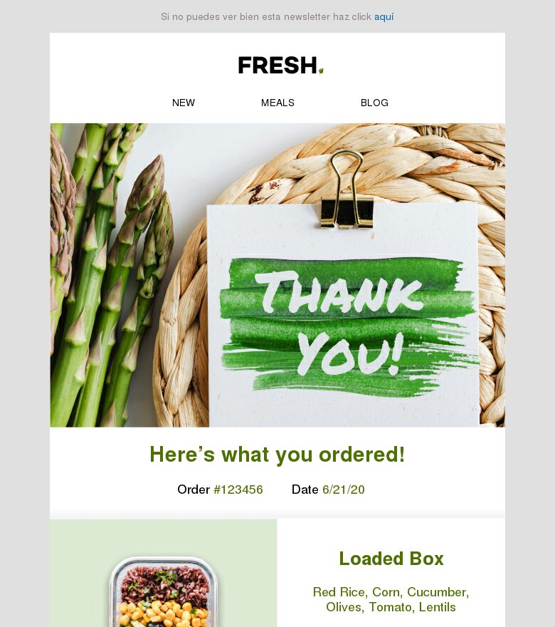 Email marketing template Email de agradecimiento