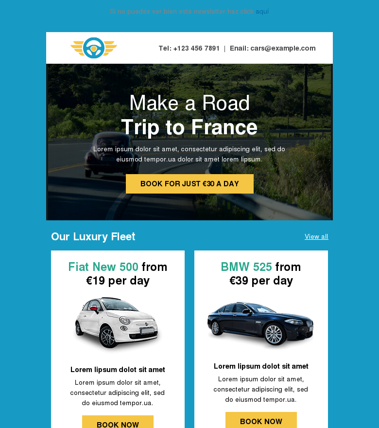 Email marketing template Rent a car