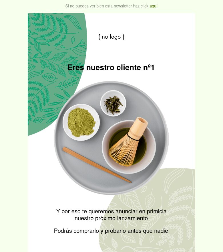 Template email marketing Cliente VIP