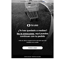 Plantilla email marketing Carrito 1-3