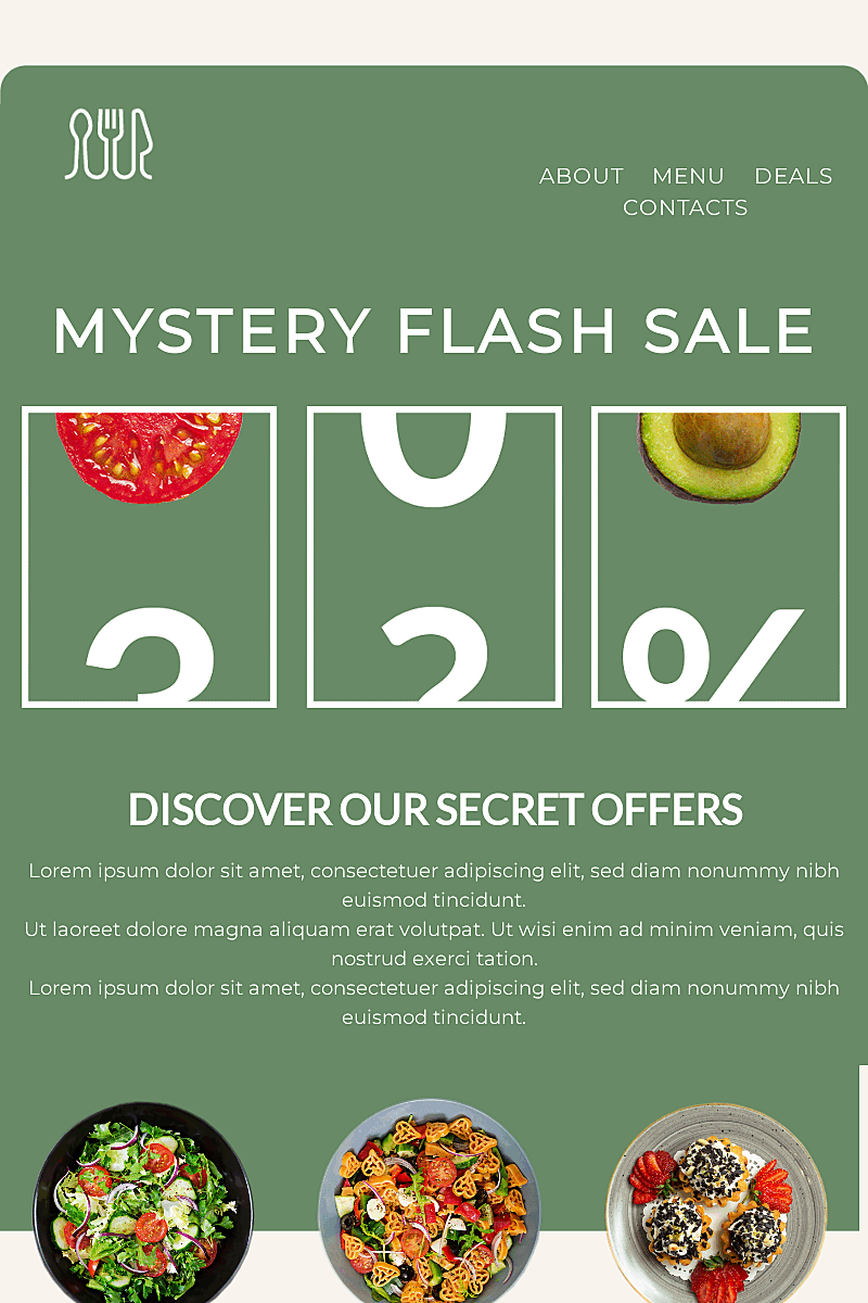 Landing page template Mystery flash sales 2